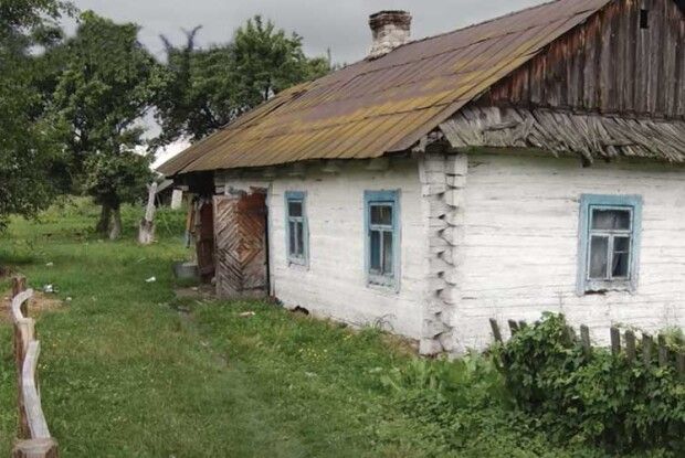 Як живе сім’я волинян, в яких хочуть забрати дитину 