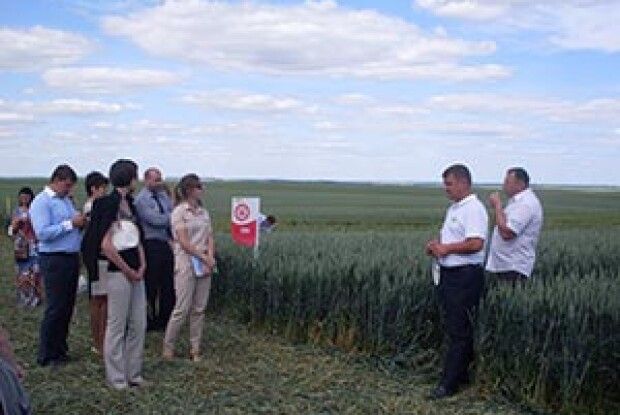 «ВОЛИНЬ-ЗЕРНО-ПРОДУКТ» ГОСПОДАРЮЄ ПО-ЄВРОПЕЙСЬКОМУ