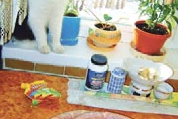 ФОТО НА КОНКУРС: хочеться ковбаски — не діжду до Паски!