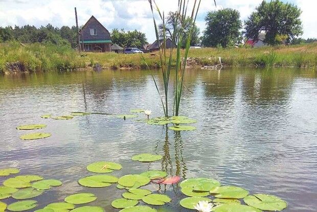 Коли велика вода, то добратися до Надрічного можна лише на човні