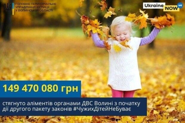 Майже 150 мільйонів гривень аліментів сплатили волиняни