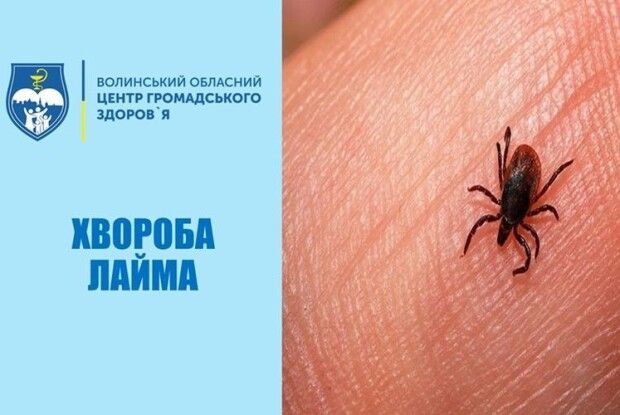 Кліщі продовжують атакувати волинян