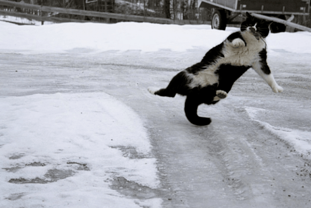 Волинян попереджають про небезпечні метеорологічні явища