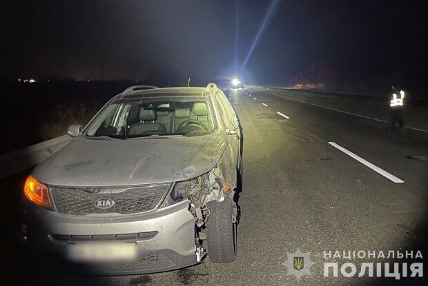 У Луцькому районі внаслідок ДТП загинув велосипедист