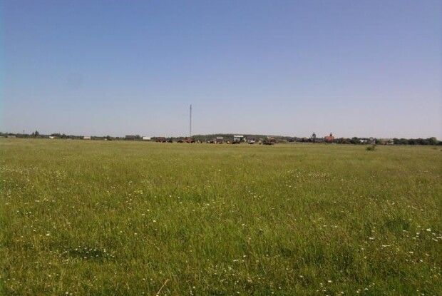 Територіальній громаді на Волині можуть повернути пасовище, яке розорав недобросовісний орендар