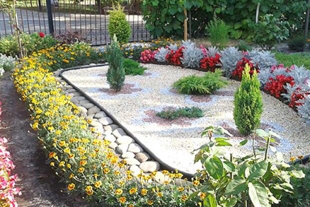 Як аристократ із берегів Амазонки прижився у Раковому Лісі