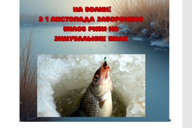 На Волині повідомили, де можна ловити рибу попри заборону