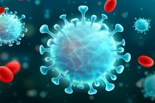 Смертність від ковіду залишається високою: на Волині учора помело 6 хворих, на Рівненщині - 14