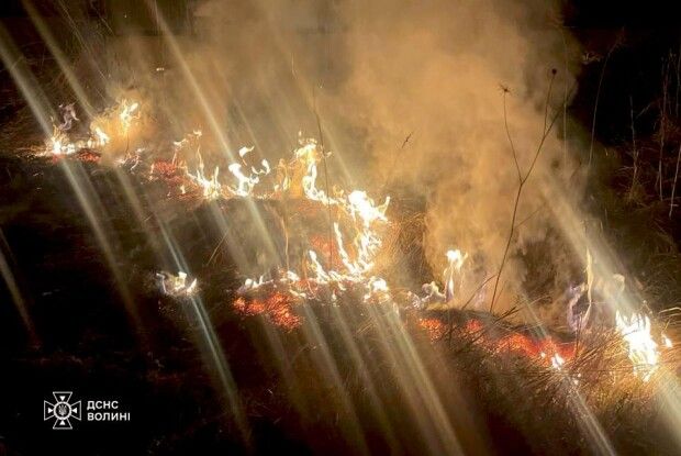 На Волині невідомі підпалили сухостій з настанням темряви