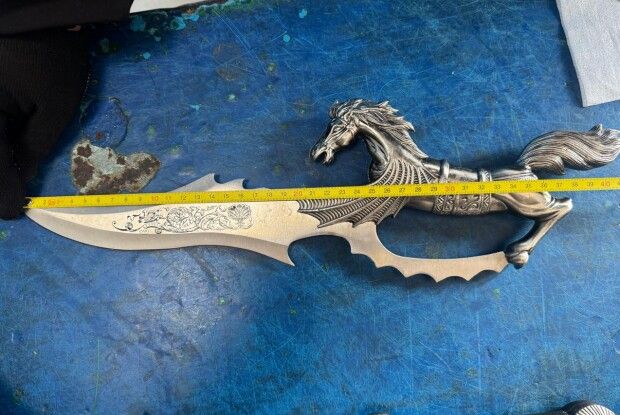 Волинські митники у валізі пенсіонера знайшли колекцію історичних артефактів та ножі (Фото)