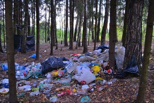 За допомогою камер у волинських лісах викрили сміттєвих вандалів
