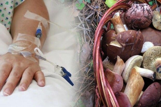 На Тернопільщині восьмеро дітей отруїлися грибами