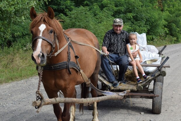 Еко-літо у волинському селі: «Здається, що грибна поляна, а це – мусор лежить» (Фото)