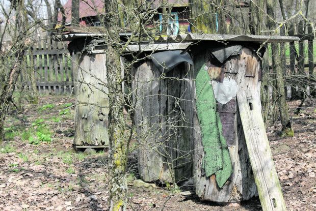Закліщених бджіл до нас привезли з Індії
