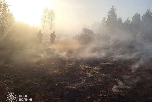 На Волині горить торфяник