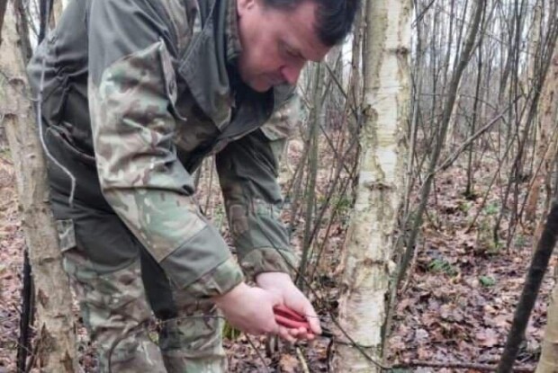 У лісі на Волині виявили десять незаконних петель для ловлі тварин (Фото)