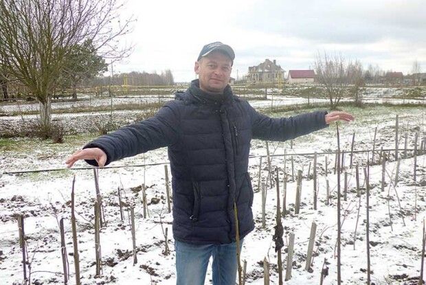 Горіхові експерименти на хуторі Загаття