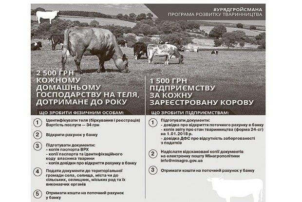 Яку урядову допомогу можна отримати на селі для розвитку господарства?