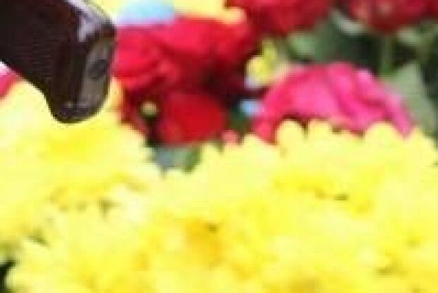 На Рівненщині попрощалися з батьком двох дітей, який поліг біля Бахмута (Фото)