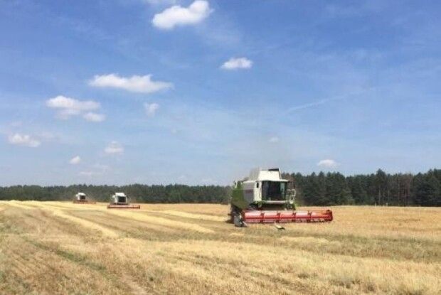 В Луцькому районі розпочалися жнива