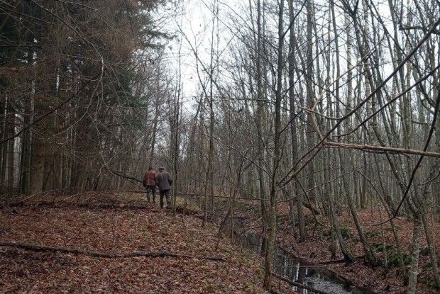 У нацпарку на Волині знайшли «Пальці мерця»