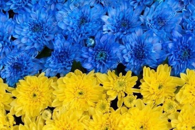 Сьогодні у Рожищі шукають … міс у погонах