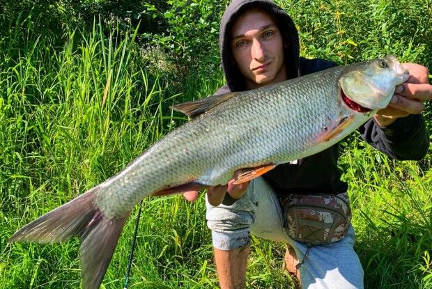 Волинянин упіймав гігантського жереха (Фото)