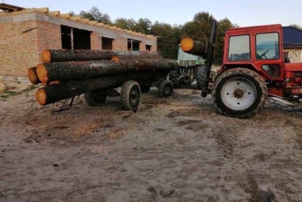 Сліди з місця самовільної рубки лісу привели до приватного будинку на Ківерцівщині
