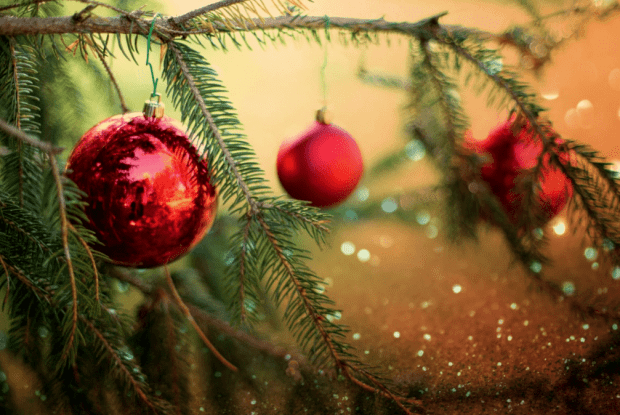 У селищі на Волині закликали не викидати ялинки на смітник