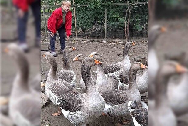 «Поляки одружувалися з українцями, тож колись у волинському селі Мислина жили змішані родини» 