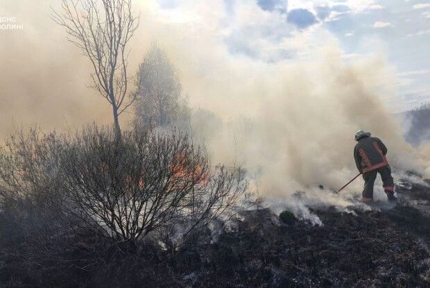 На Волині горіло понад 18 гектарів сухостоїв та торфовищ