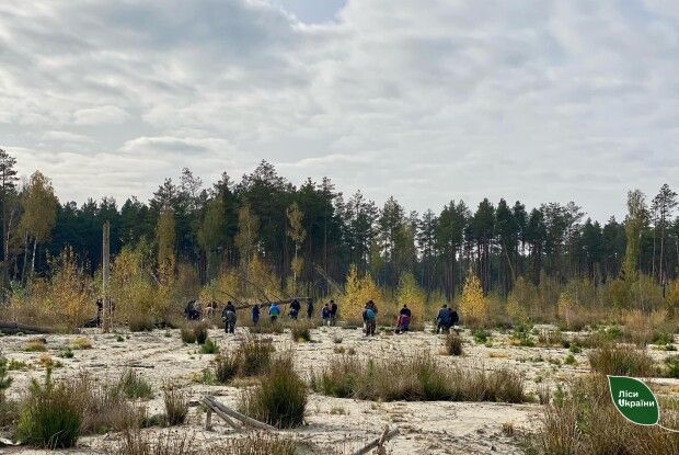 На Рівненщині відновлюють ділянки, пошкоджені незаконним видобутком бурштину