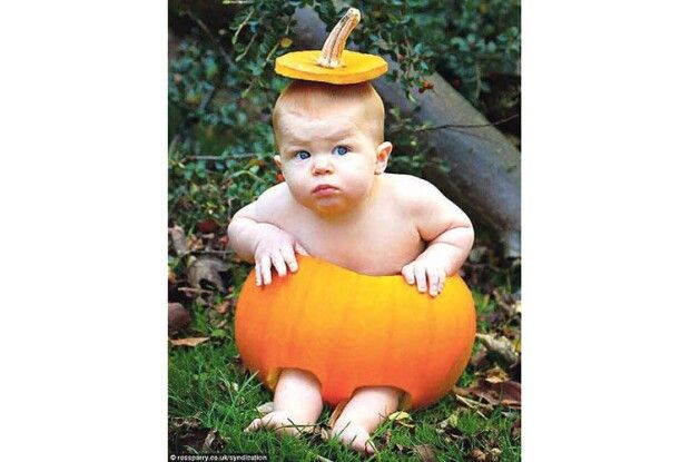 Розшукуються...