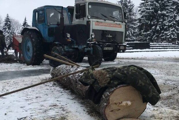 У Луцьку на меморіалі зрізають дерева