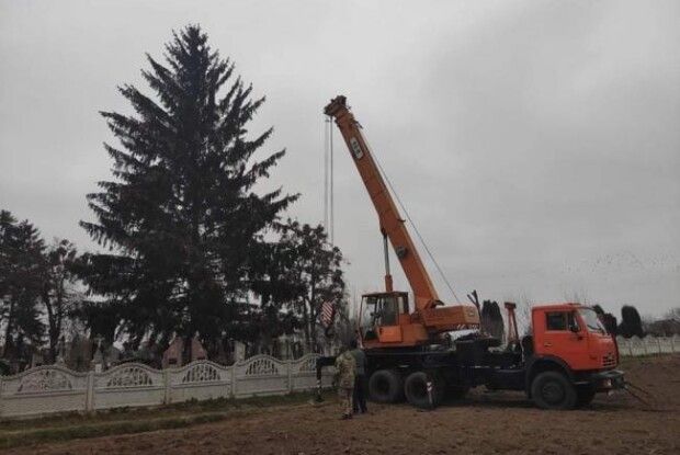 Скандал на Рівненщині: влада Дубна новорічну ялинку зрізала на кладовищі 