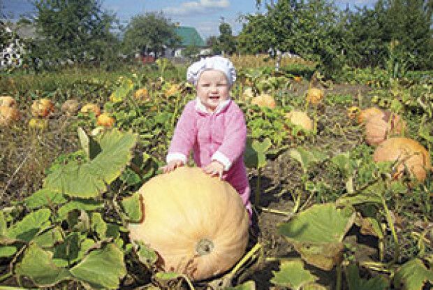 ГАРБУЗОВА КАША ПРОСИТЬСЯ НА СТІЛ