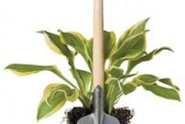 ОСІННІ РОБОТИ ТРИВАЮТЬ