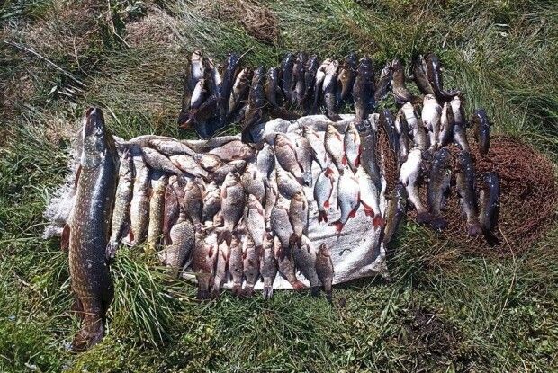 На Волині затримали браконьєра з уловом на 147 тисяч гривень