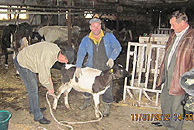 ТВАРИННИЦТВО — НАЙПЕРСПЕКТИВНІША ГАЛУЗЬ ВОЛИНІ*