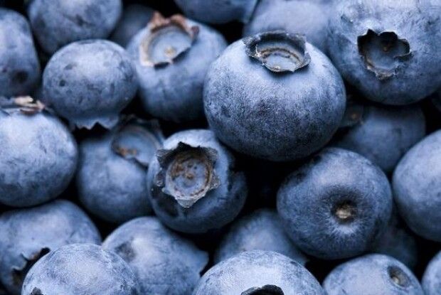 Війна через ягоди: люди щодня перекривають дорогу до лісу (Відео)