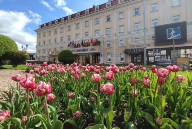 Рівне «потопає» у тюльпанах різних кольорів (Фото)