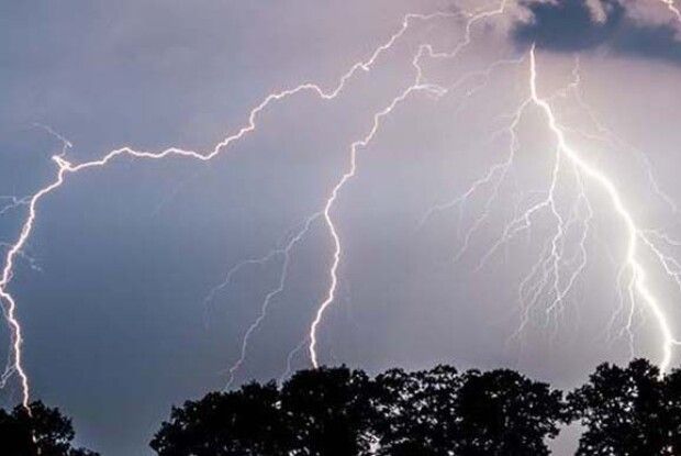 Сьогодні жителів Рівненщини просять не залишати автомобілі під деревами