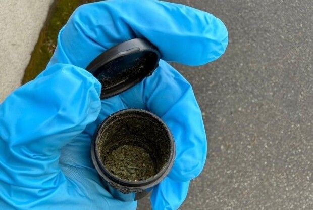 На Волинській митниці службові собаки занюхали канабіс на кордоні