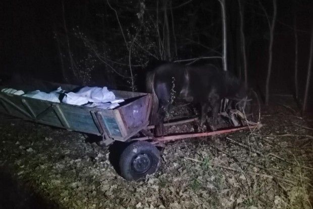 Двома підводами українці везли до Білорусі 800 кілограмів сала