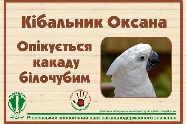 Рівнянка взяла під опіку білочубого парубка із великим дзьобом