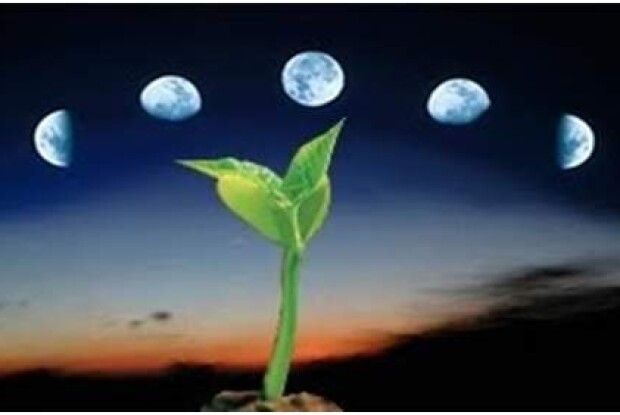 Посівний календар  на 2022 рік,  враховуючи фази Місяця