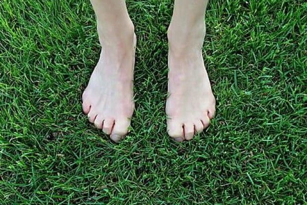 Напівголий чоловік вирішив зняти кота з дерева, але план дав збій (Відео моменту)