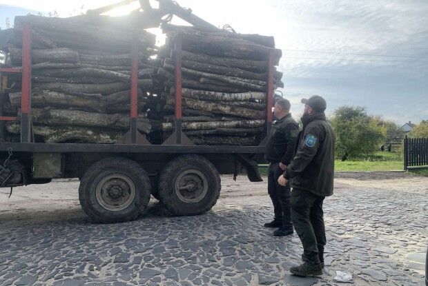 На Волині виявлені незаконні порубки дерев