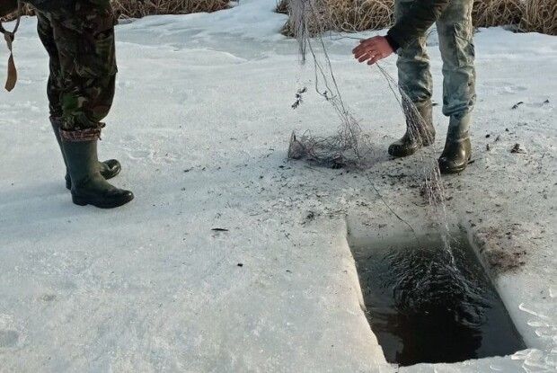 На водоймі Луцького району спіймали рибалок-браконьєрів з щуками та окунями (Фото)