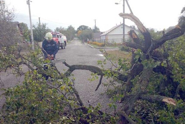 Буревій поламав дерева, позривав дахи і знеструмив десятки сіл